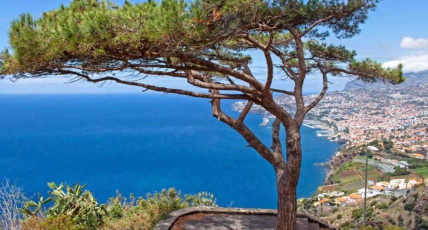 Gasparini Palheiro Village By Madeira * Funchal (Madeira)