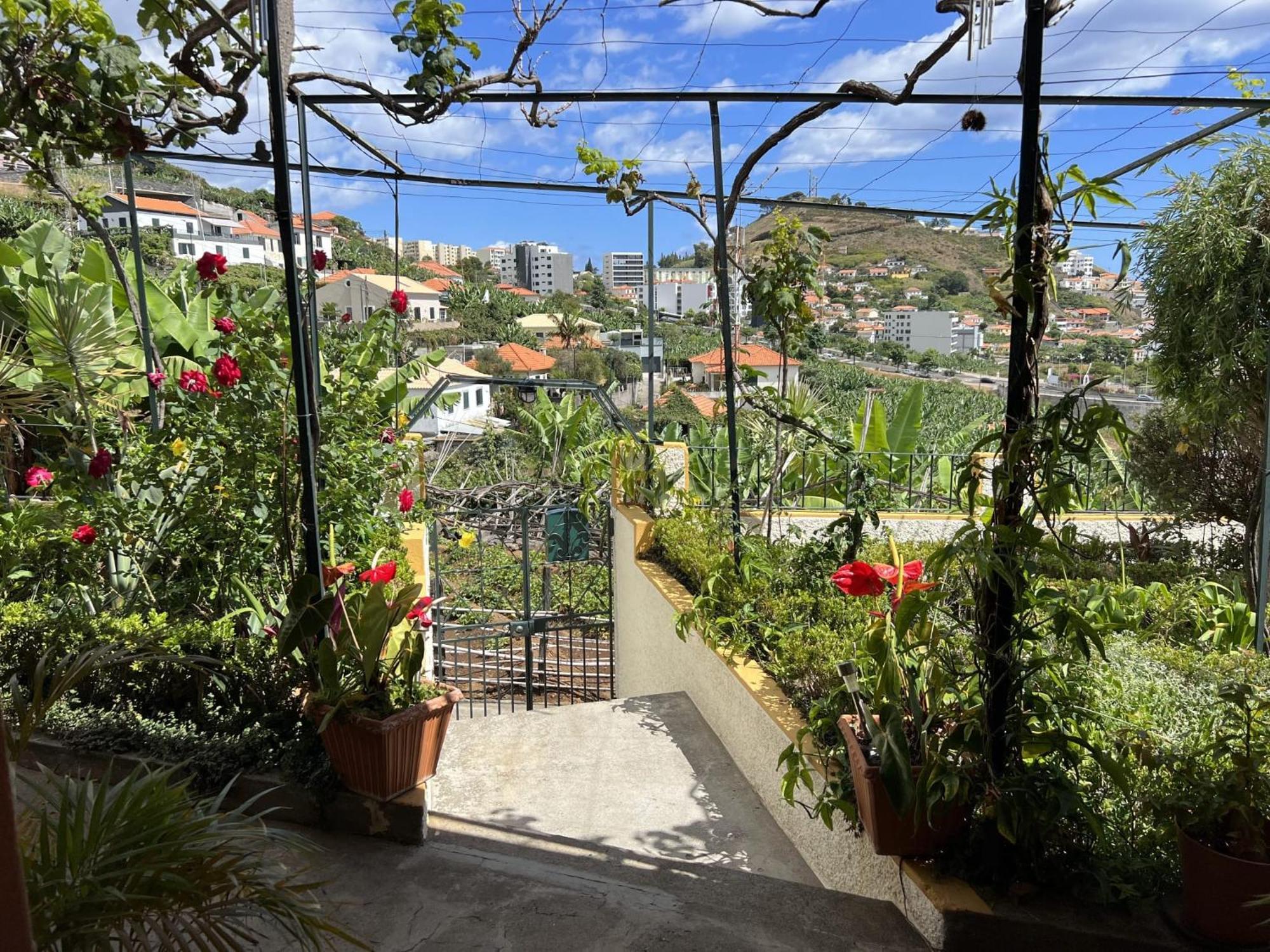 Ferienhaus Chinchilla's House Madeira Style *