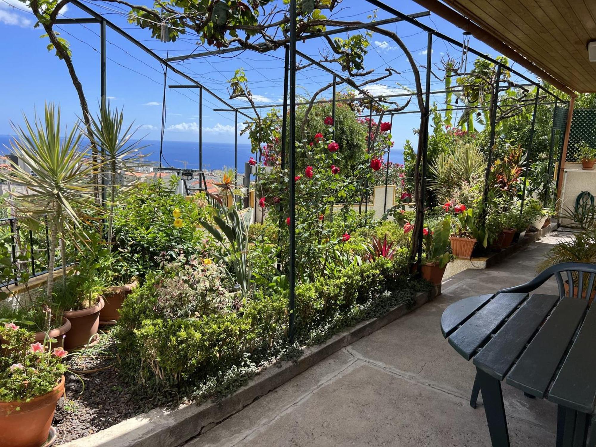 Ferienhaus Chinchilla's House Madeira Style Funchal (Madeira)
