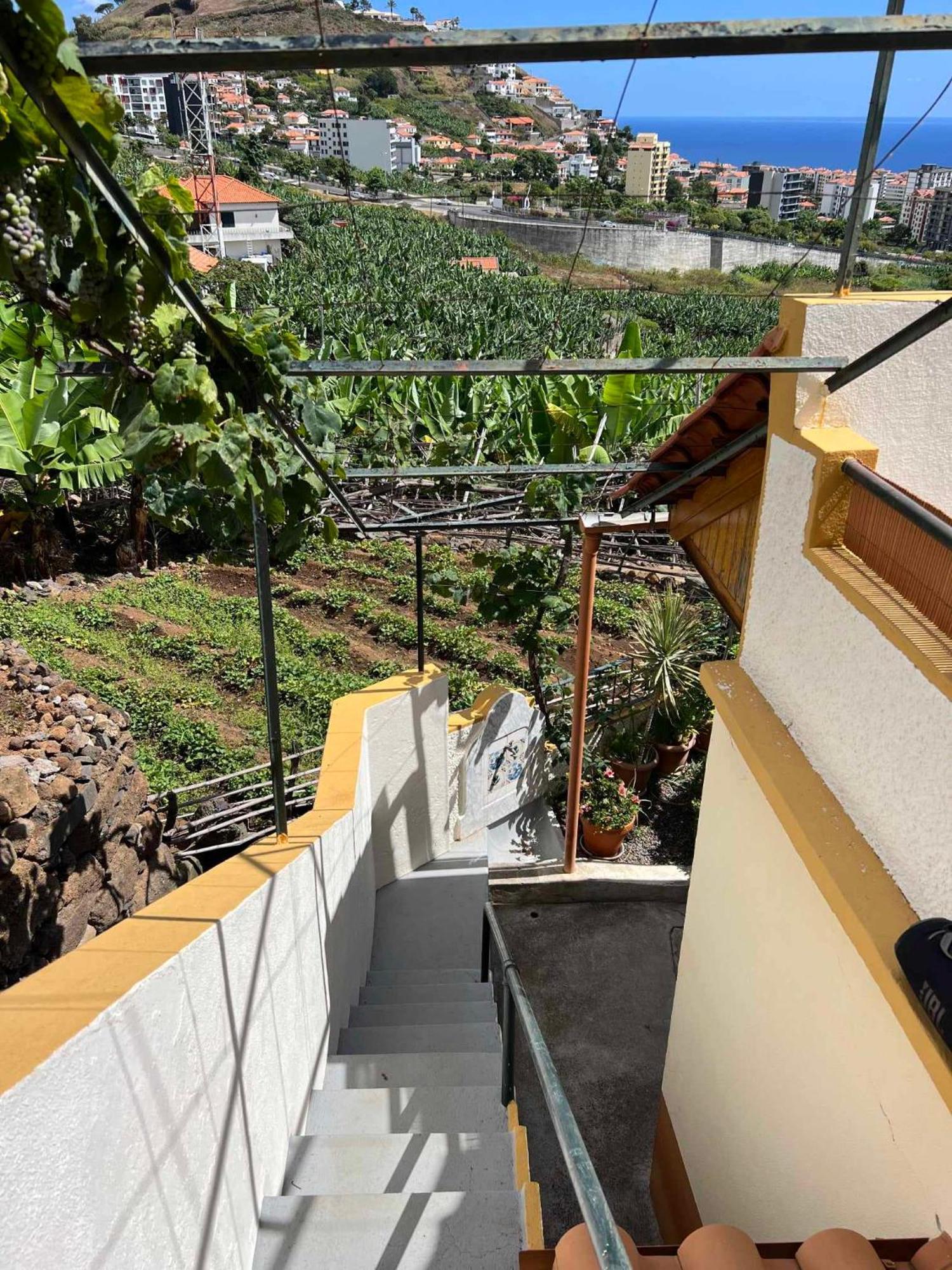 Ferienhaus Chinchilla's House Madeira Style