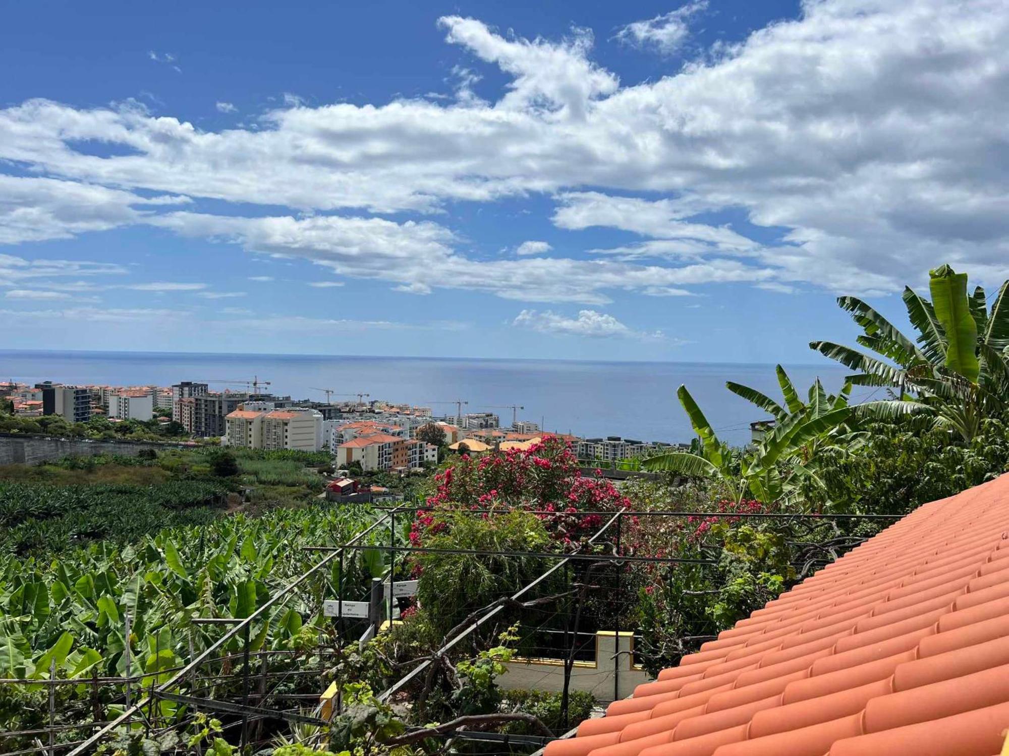 Chinchilla's House Madeira Style * Funchal (Madeira)