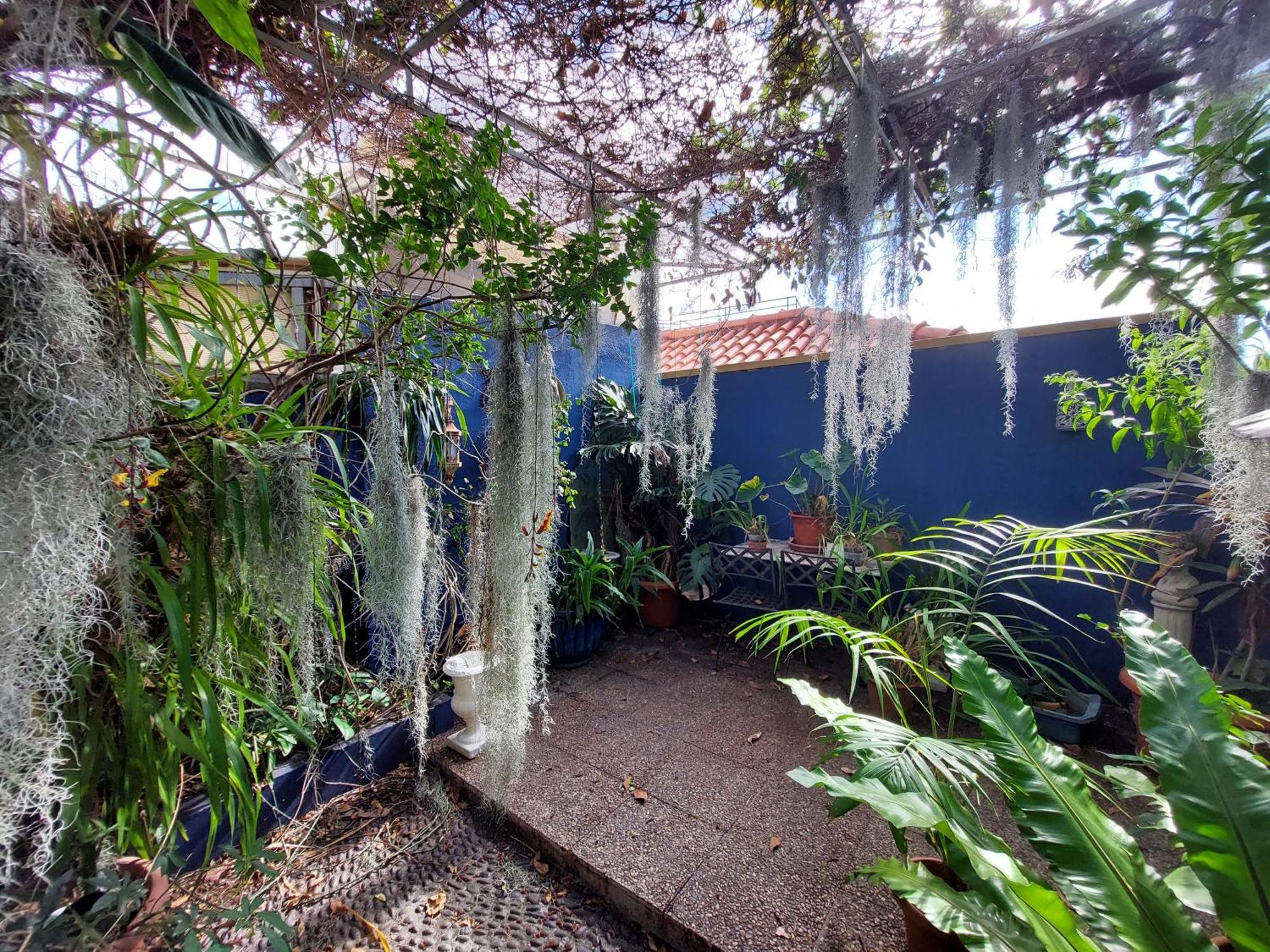 Apartment Casa Pico Musica Funchal (Madeira)