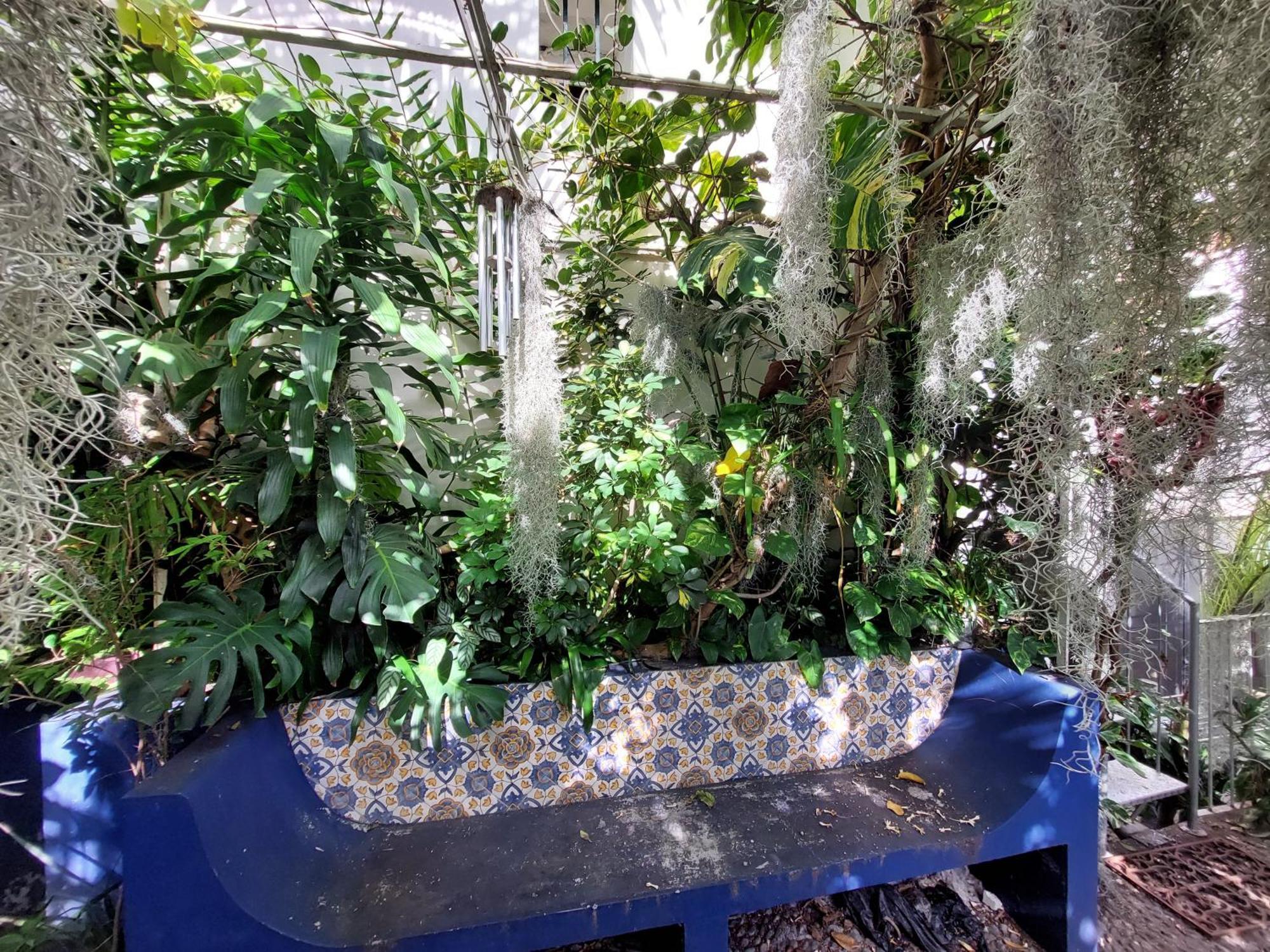 Apartment Casa Pico Musica