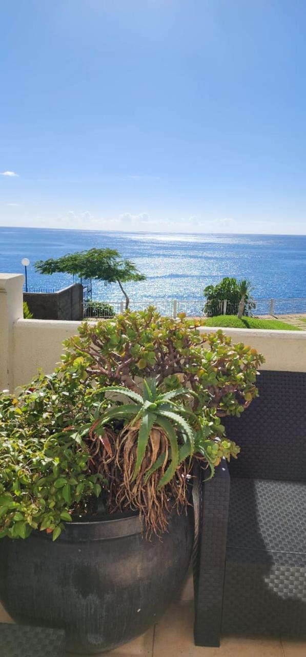Ocean View Apartment Funchal (Madeira)