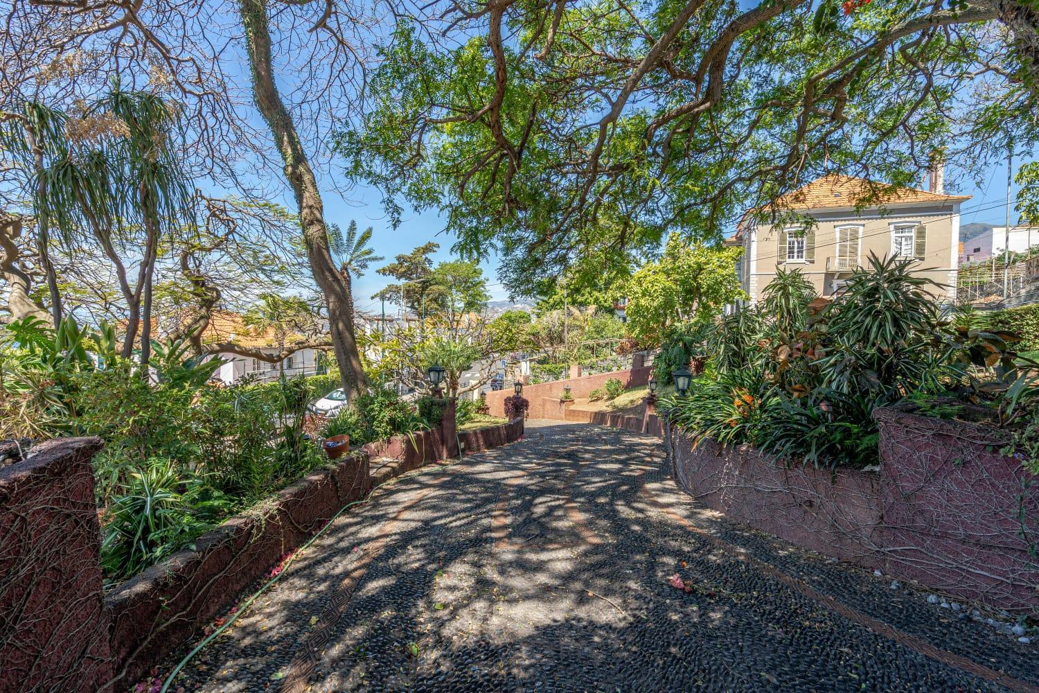 Francisco's Ở trọ Funchal (Madeira)