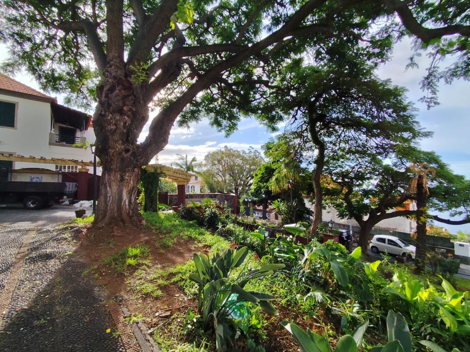Francisco's Ở trọ Funchal (Madeira)