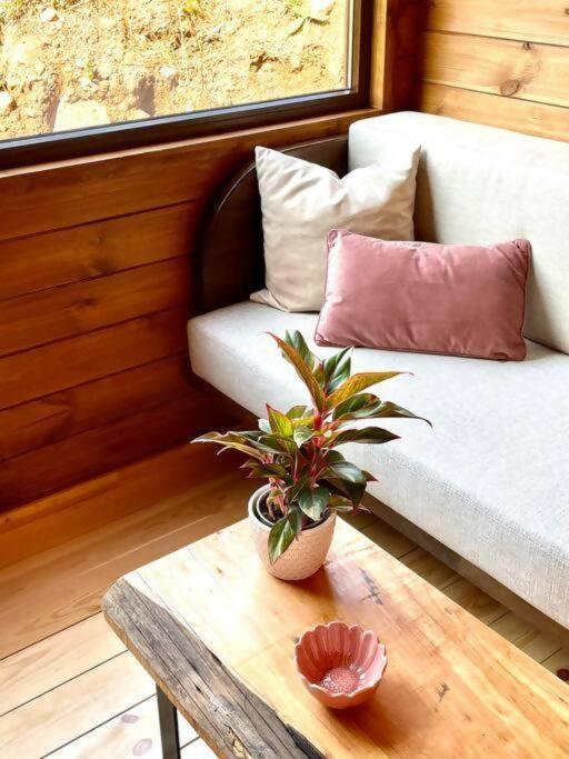 Luxury tent Mountain Eco Shelter 9 Funchal (Madeira)
