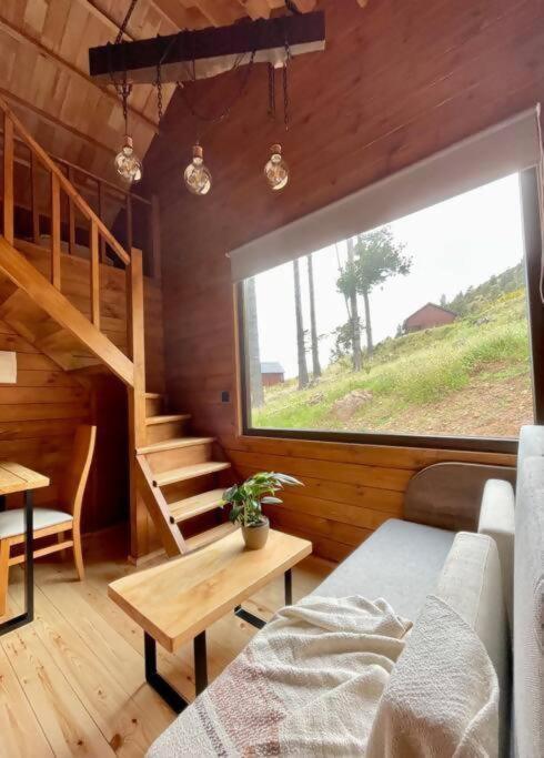 Mountain Eco Shelter 9