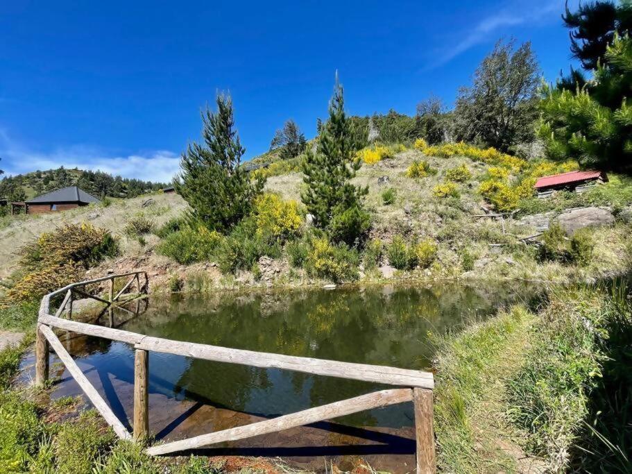 Luxury tent Mountain Eco Shelter 9