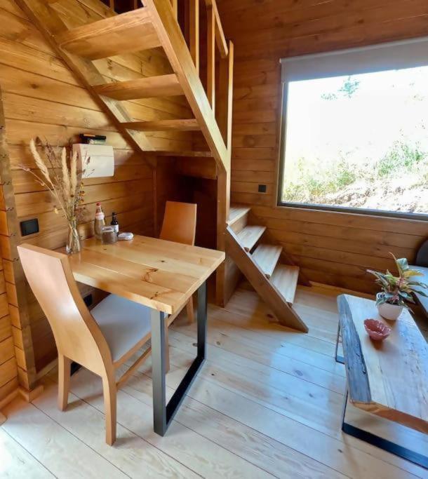 Mountain Eco Shelter 9 Luxury tent Funchal (Madeira)