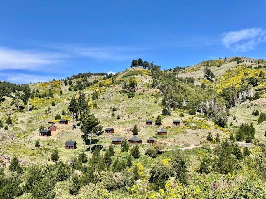 Mountain Eco Shelter 9 * Funchal (Madeira)