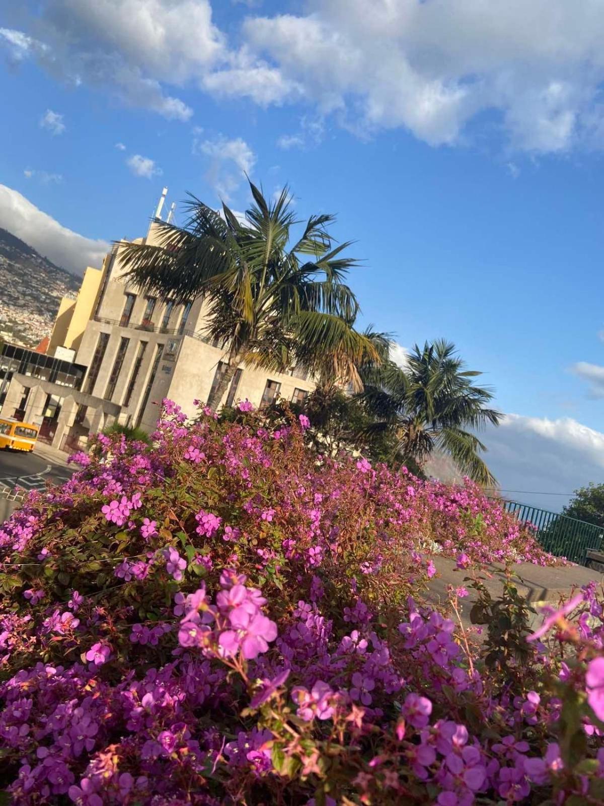 Center Marina View Funchal (Madeira)