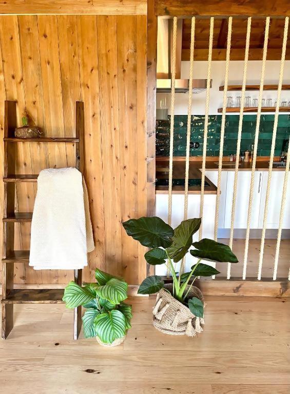 Mountain Eco Shelter 2 * Funchal (Madeira)