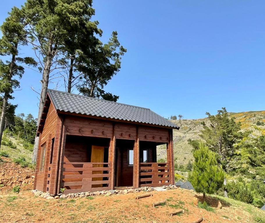 Luxuszelt Mountain Eco Shelter 5 *