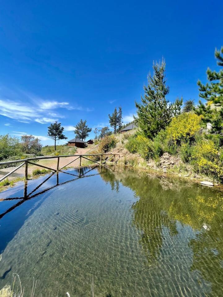 Mountain Eco Shelter 7 Funchal (Madeira)