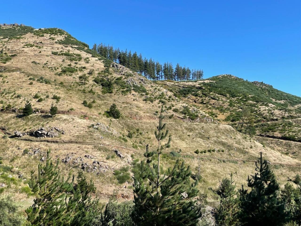 Mountain Eco Shelter 6 Luxuszelt