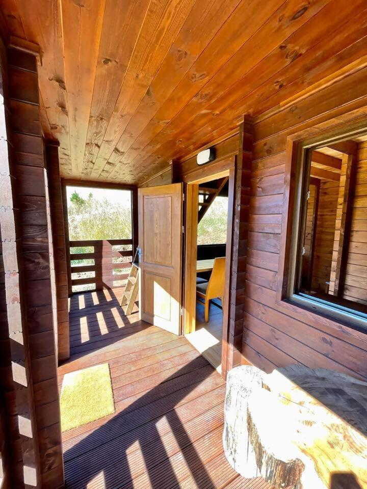 Mountain Eco Shelter 6