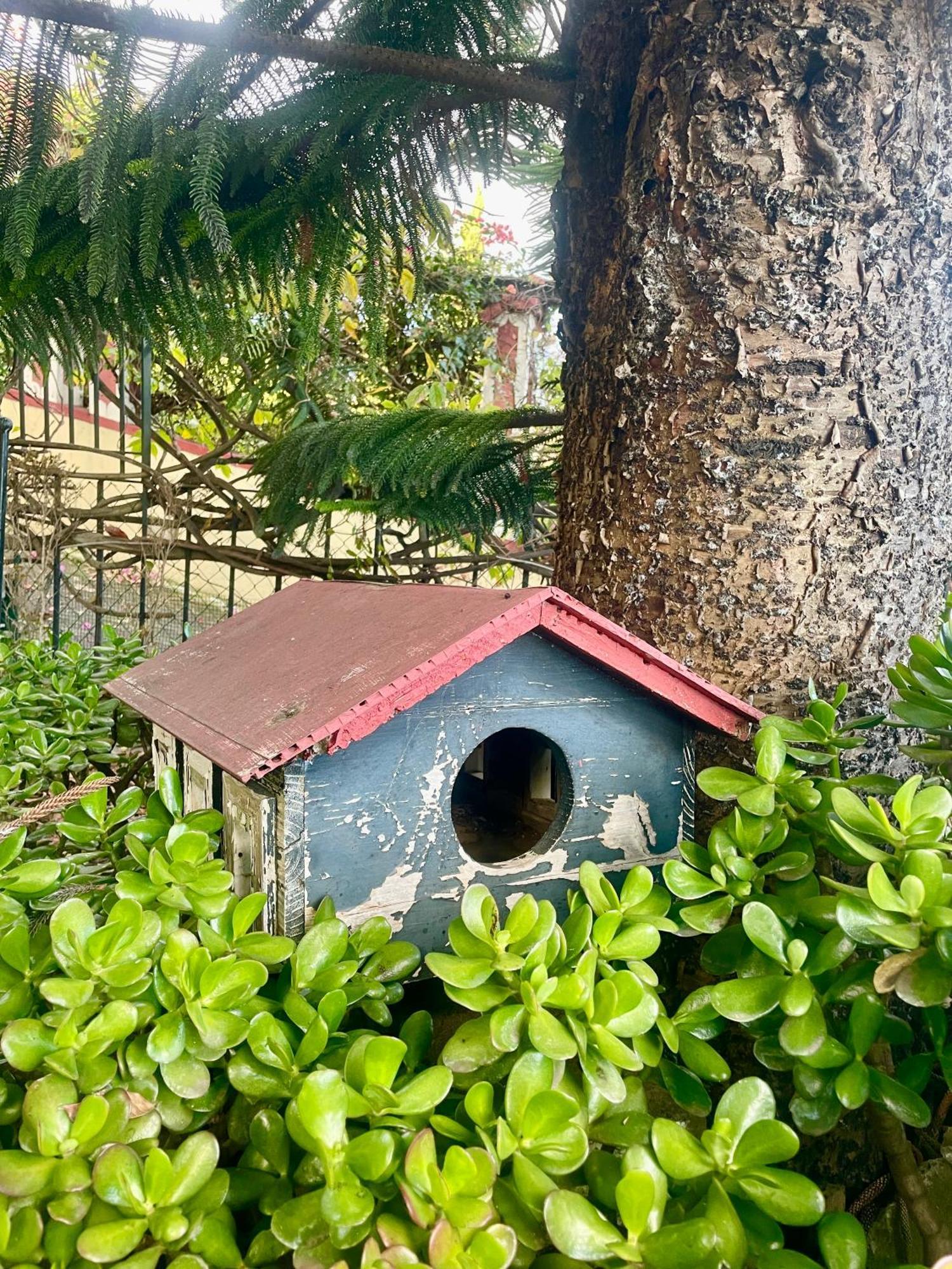 Wisteria Villa
