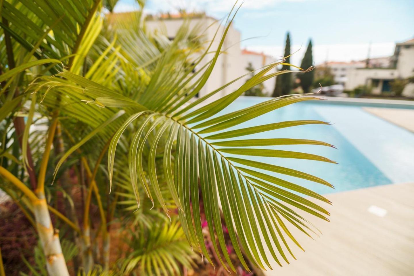 Apartment Guestready - The Perfect Place To Relax In