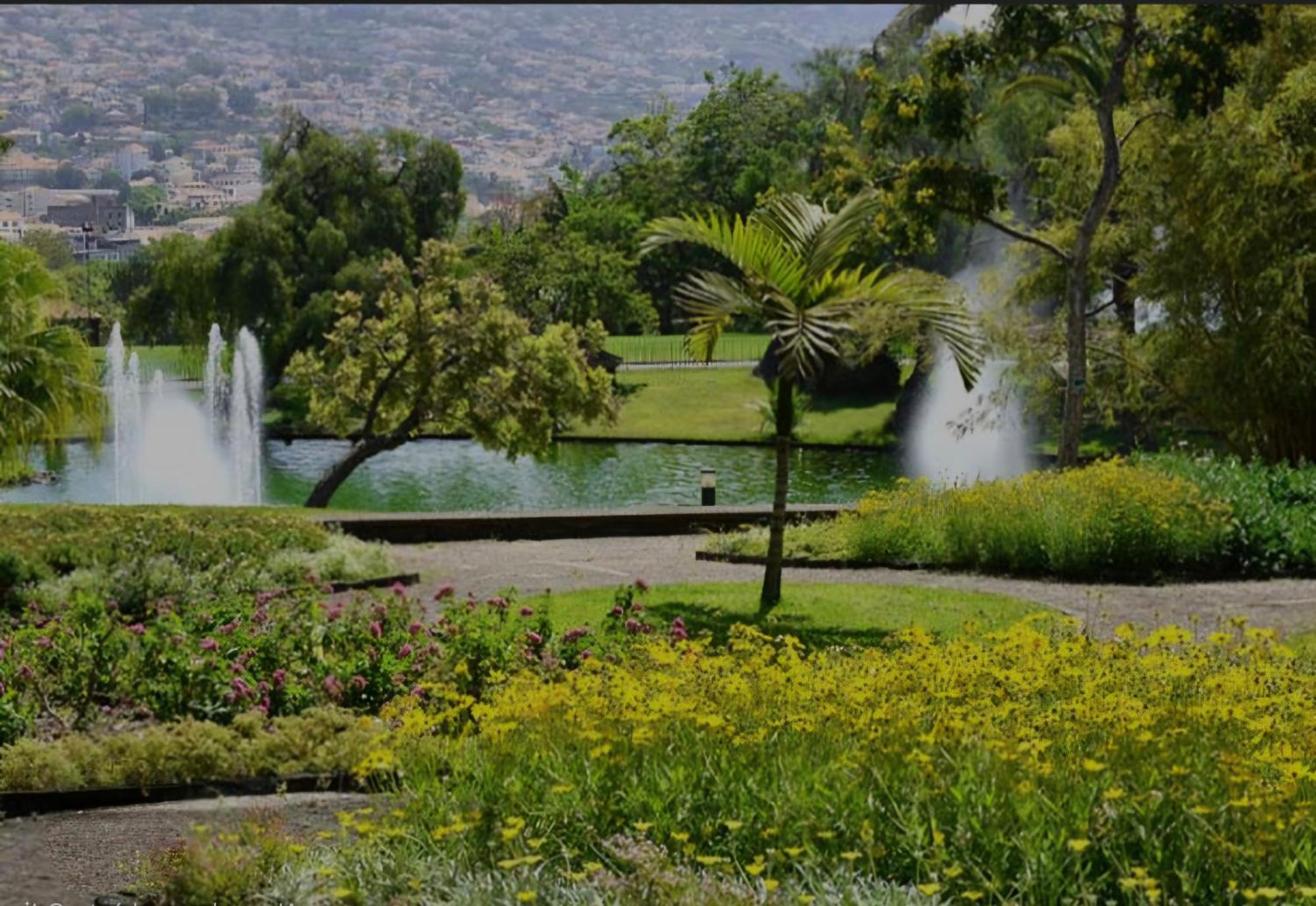 Nest * Funchal (Madeira)