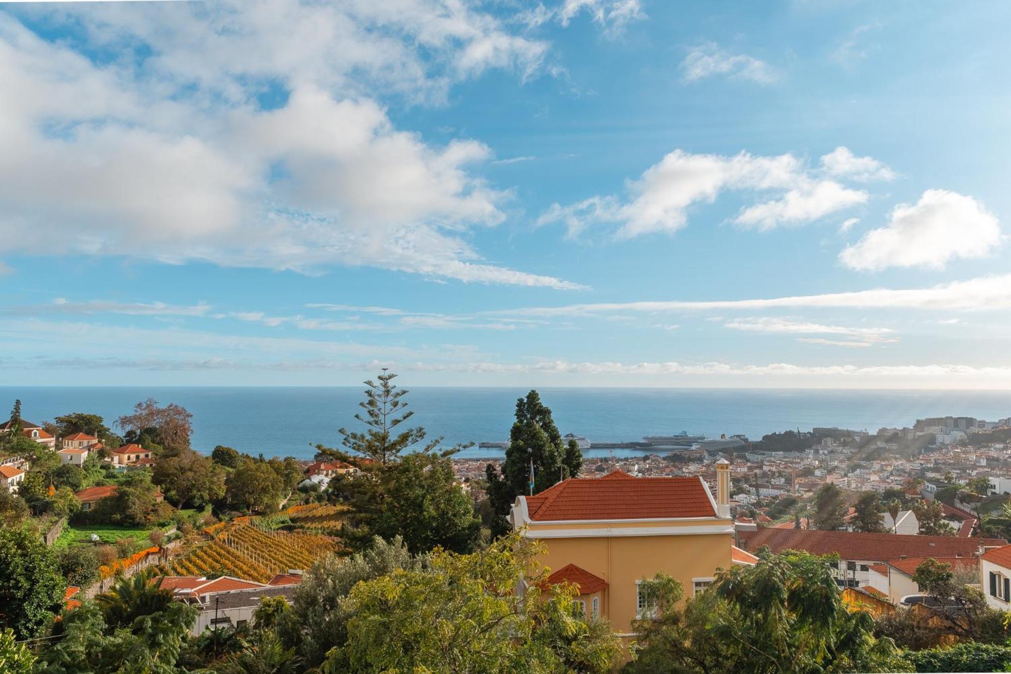 Lux House - Free Park- Wifi - Sea View *
