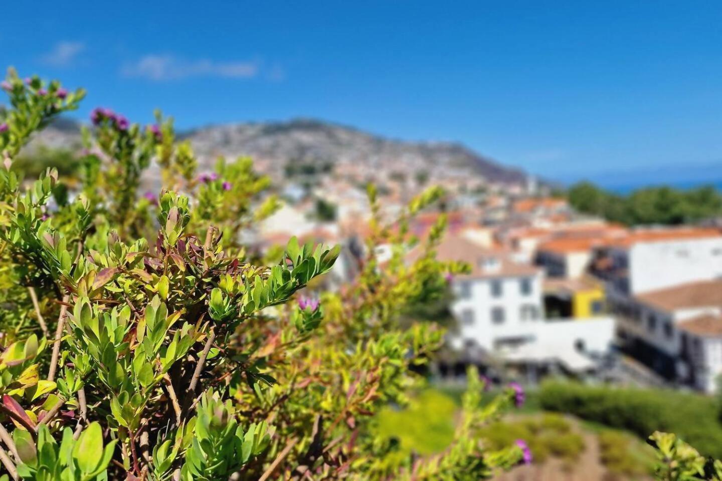 Empire Luxury Savoy Insular Apartamento Funchal (Madeira)