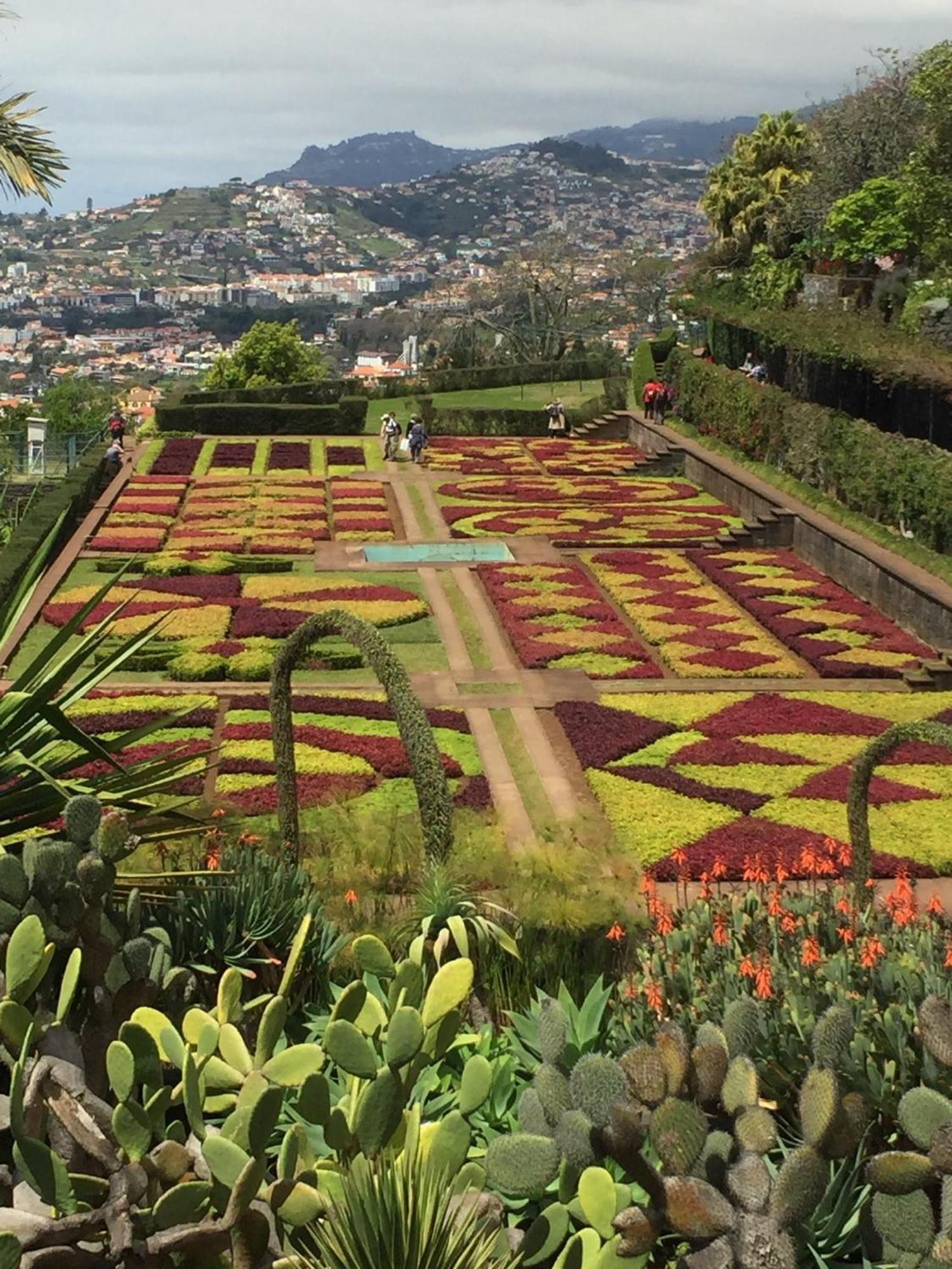 Apartment - Bouganvilla Funchal (Madeira)