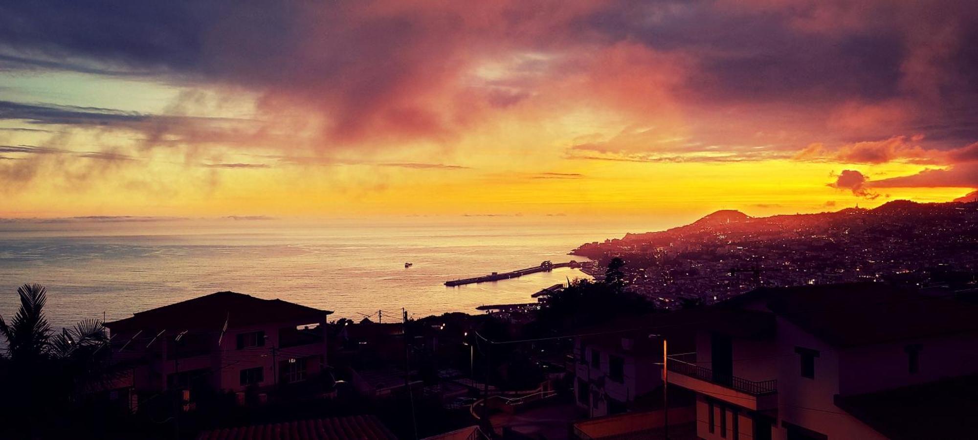 Madeira Mit Blick Auf Den Hafen * Funchal (Madeira)