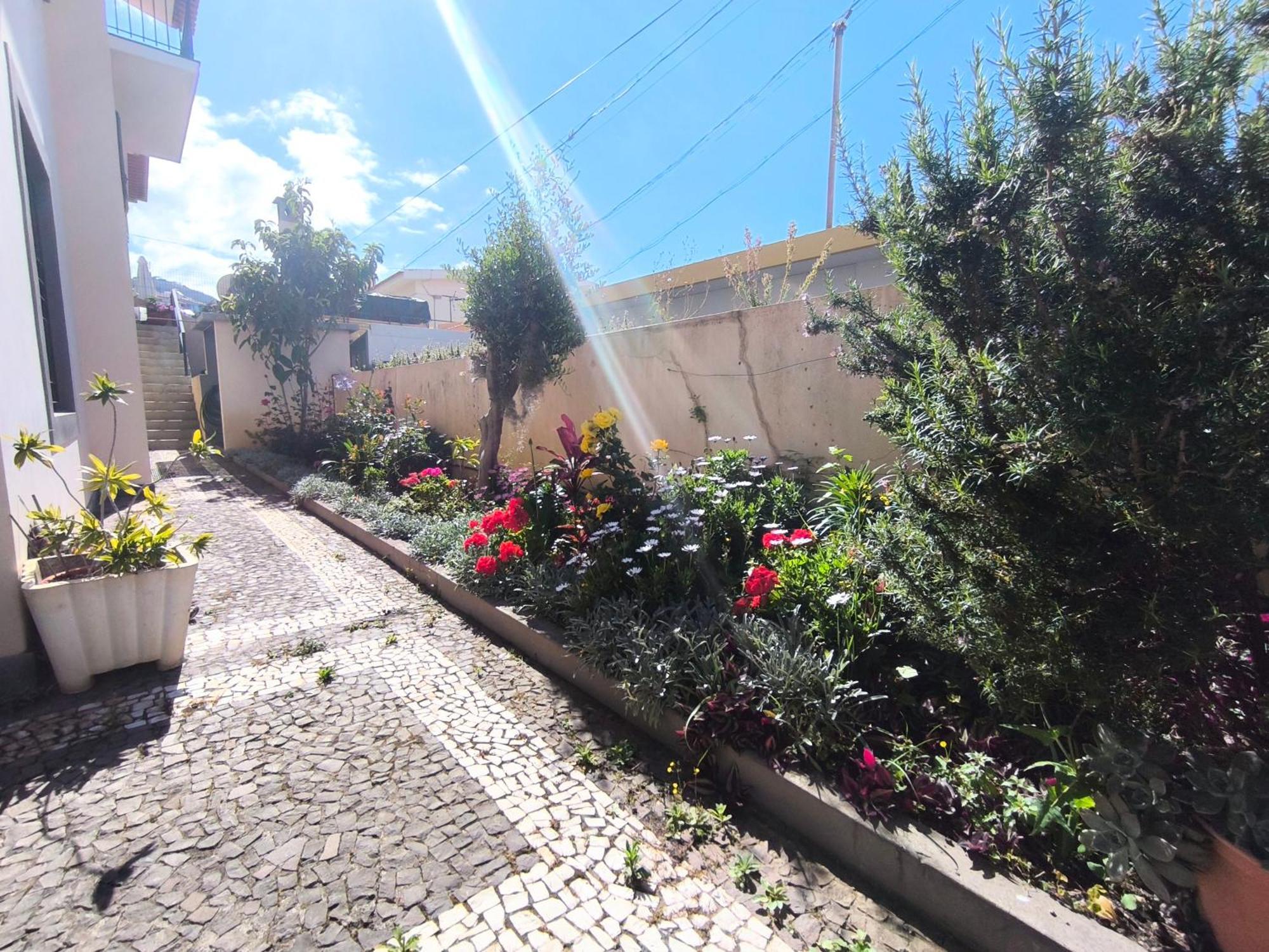 Telo Villa *