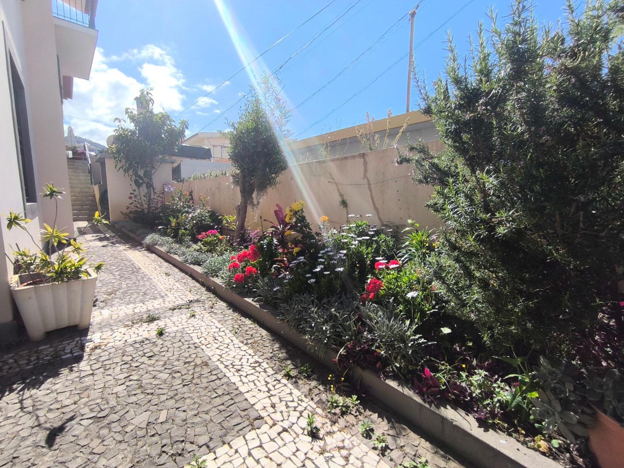 Telo * Funchal (Madeira)