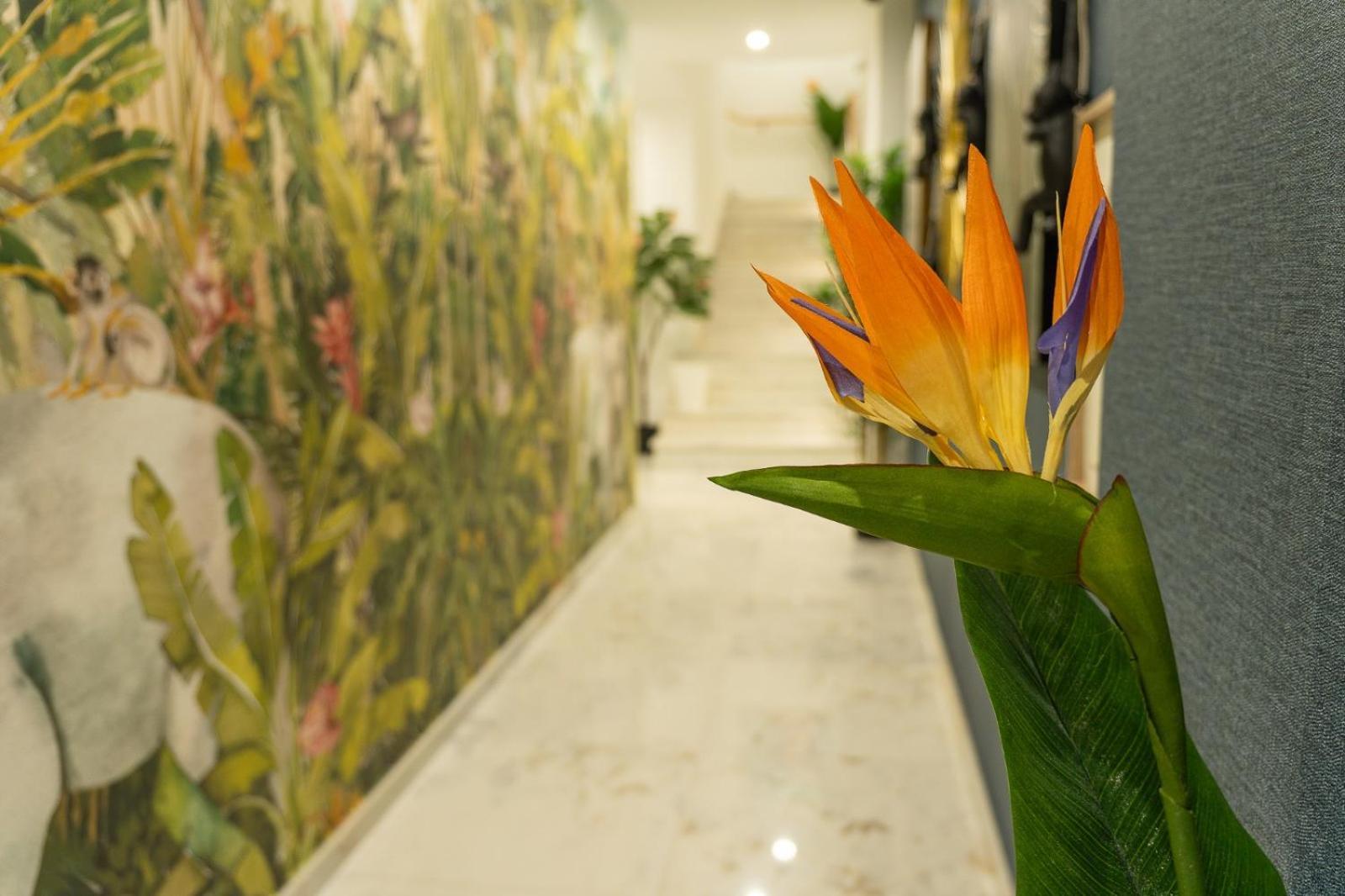Apartment Safira 302