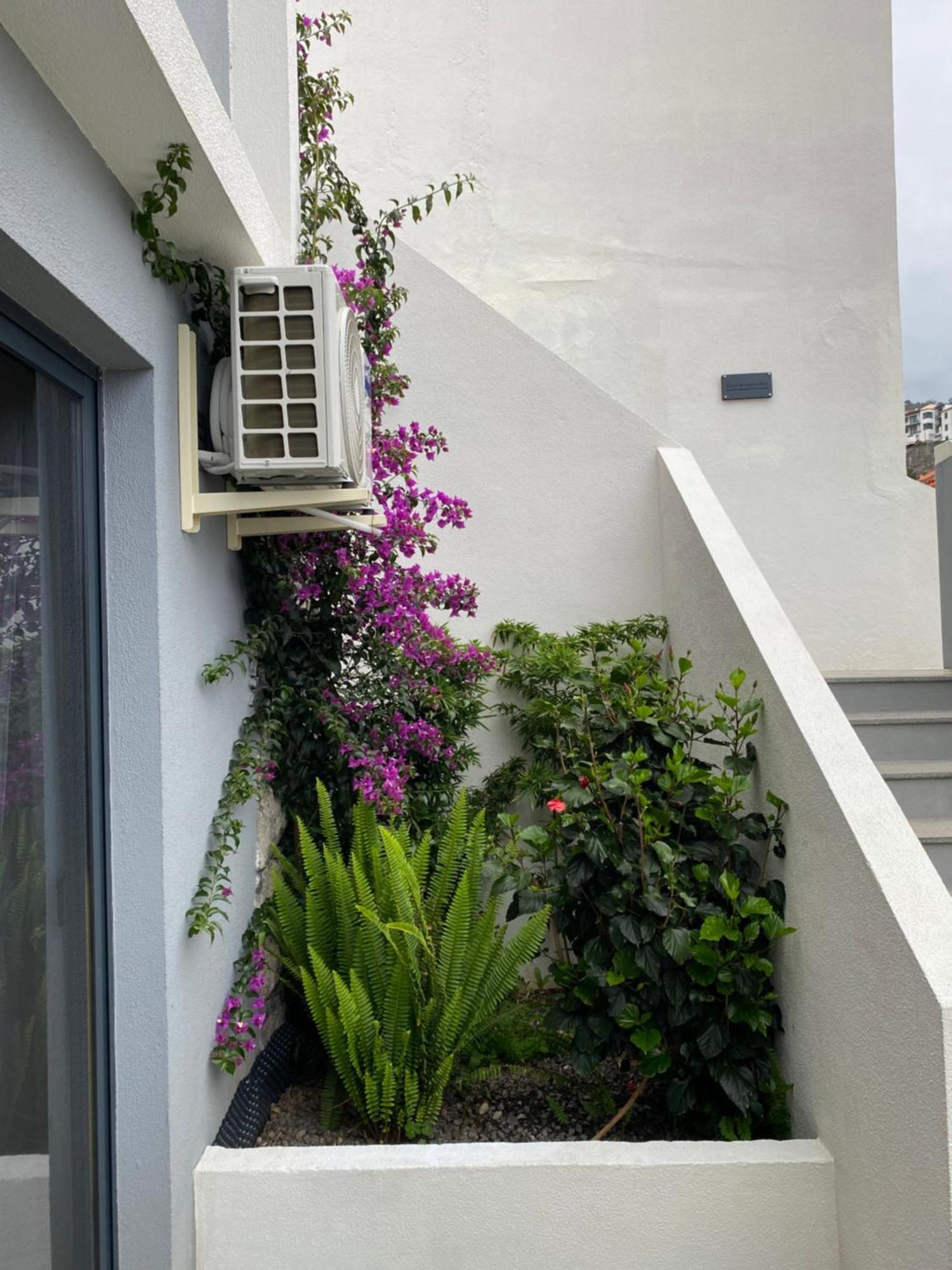 Apartment - Bouganvilla