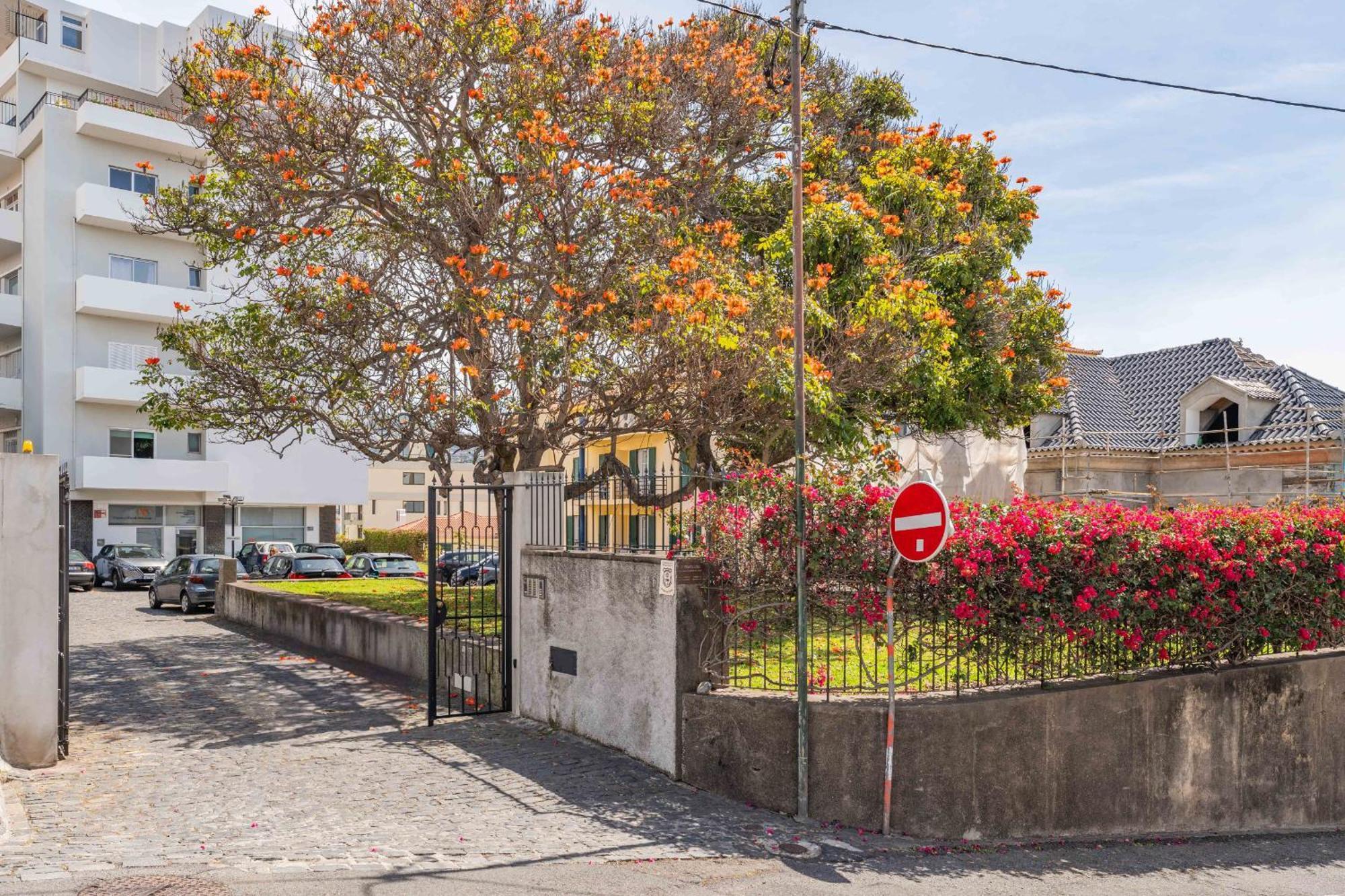 Flh Terrace Funchal (Madeira)