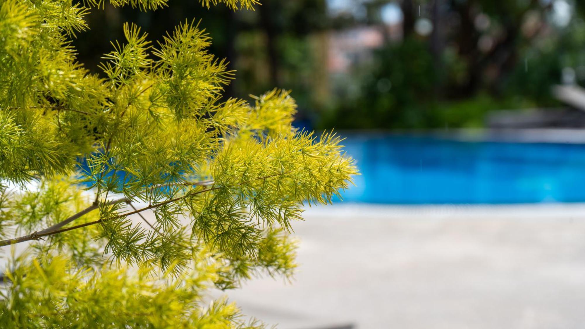 Apartamento Deluxe Living By Lovelystay