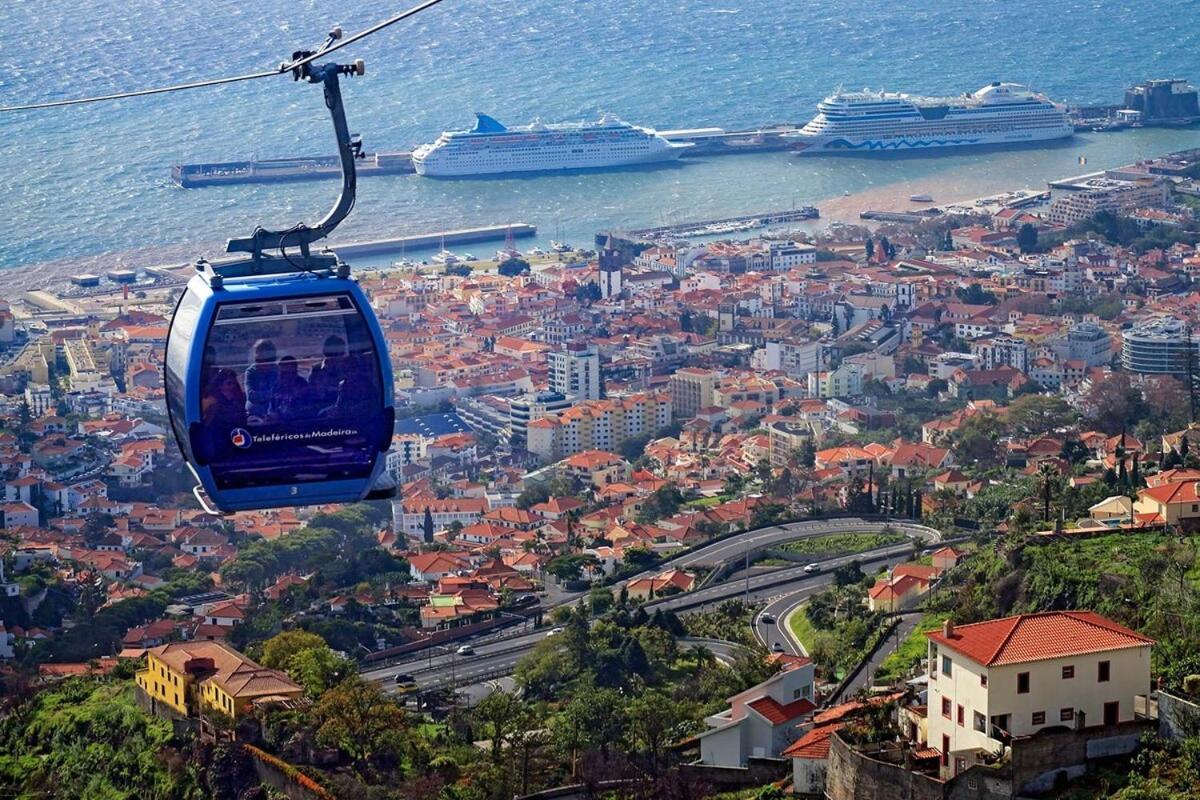 Living-funchal *