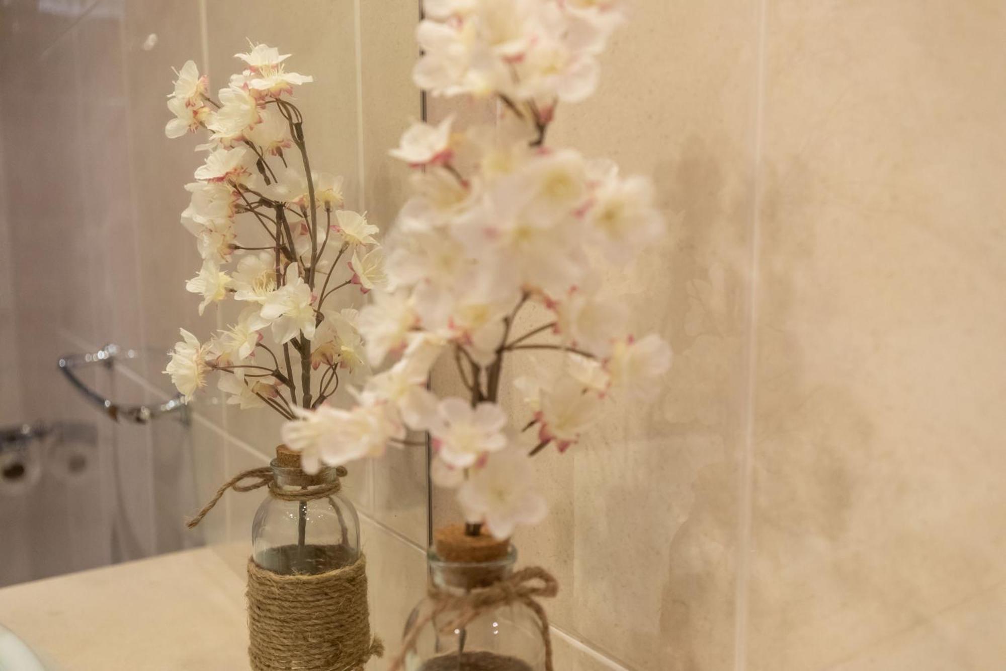 Apartment Anadia Penthouse Duplex *