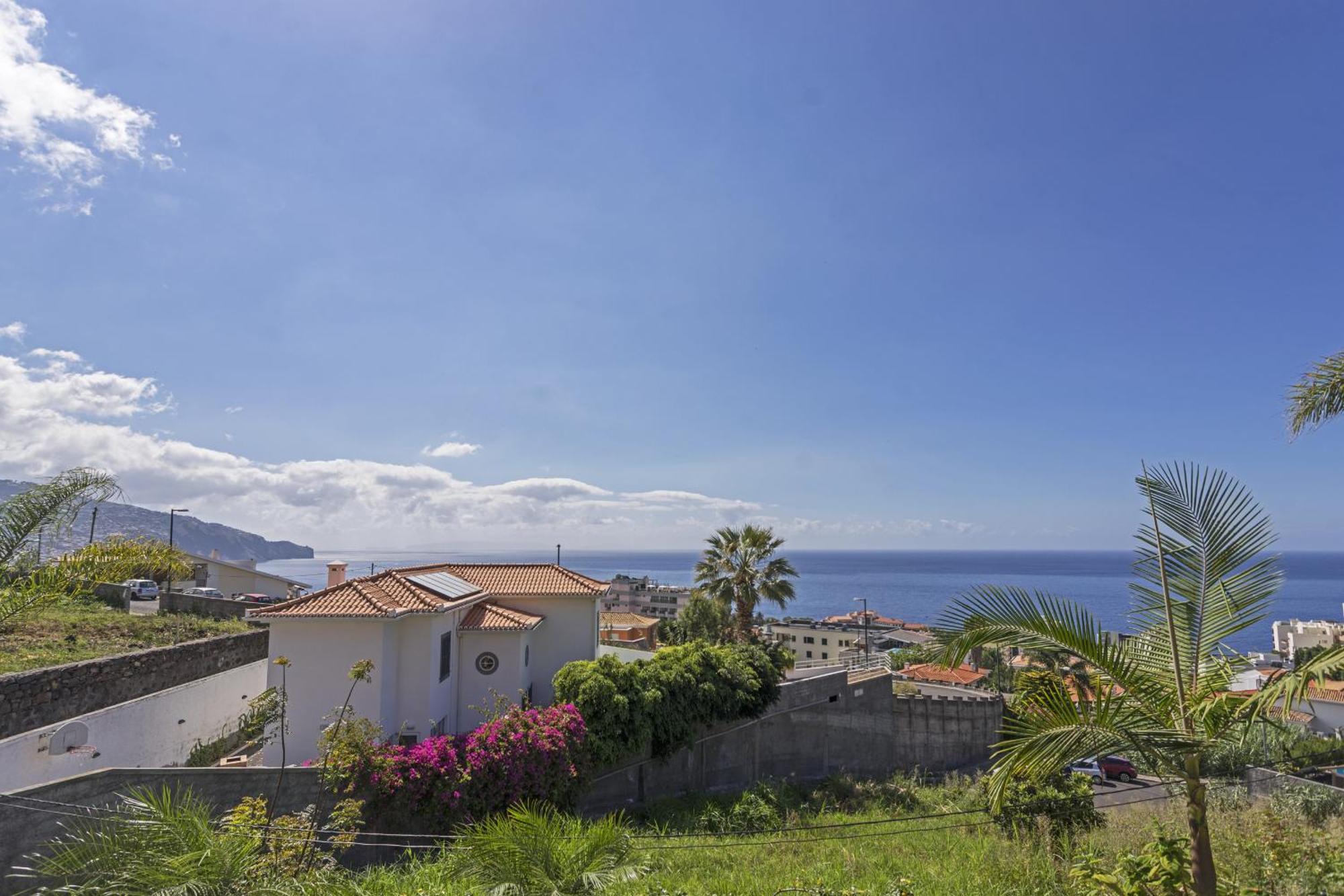 Botanica - By Wehost * Funchal (Madeira)