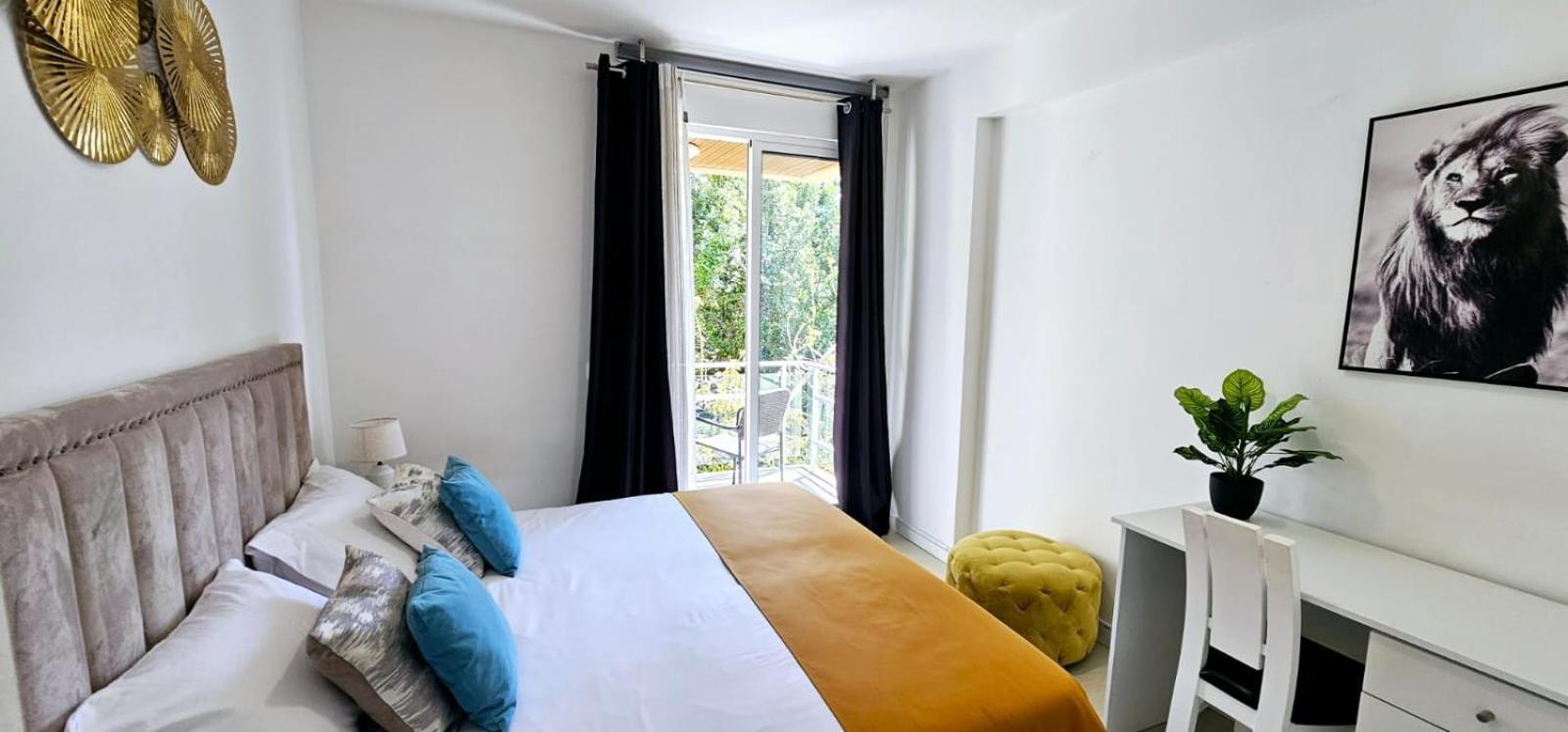 Hdfm Collection - Centro * Funchal (Madeira)