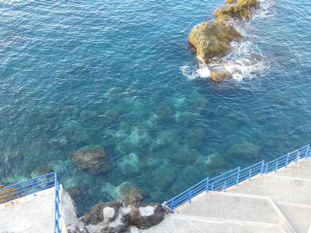 Shearwaternest Al Apartment Funchal (Madeira)
