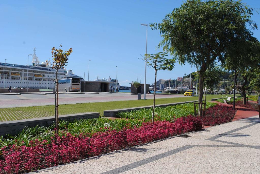 Casa Zona Velha - Caetano Apartamento *