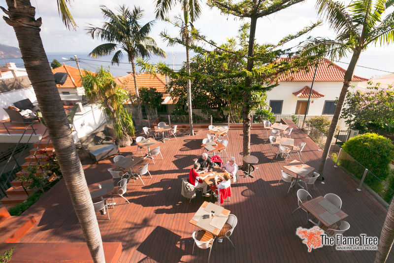 The Flame Tree Madeira (adults Only) 3*