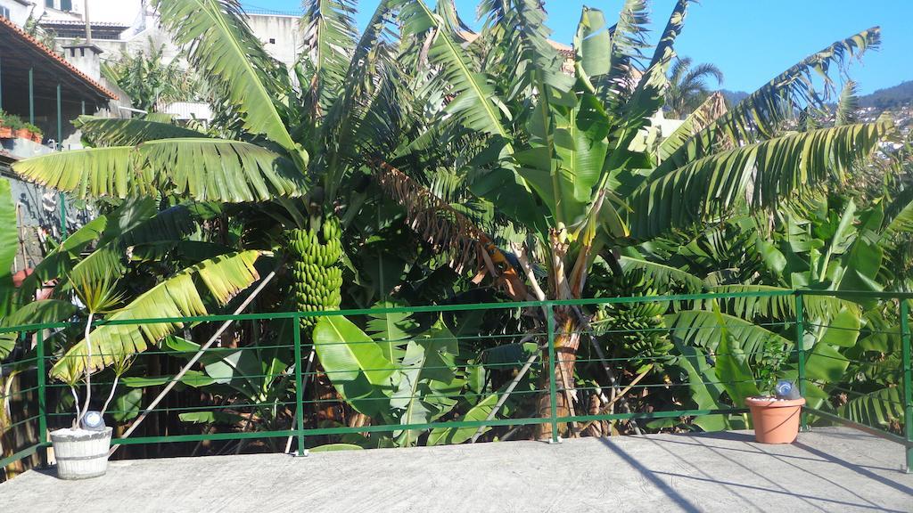 Case de vacanță Cantinho Das Bananas Funchal (Madeira)
