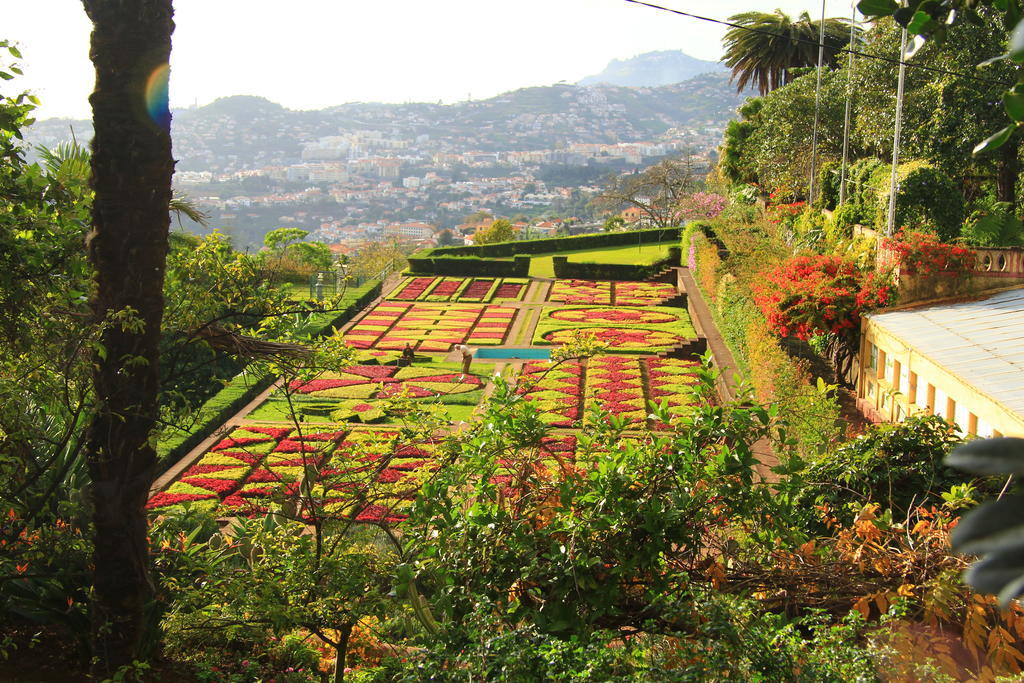 Reno Funchal (Madeira)