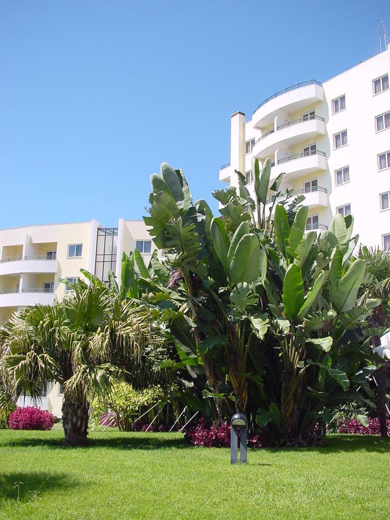 Hotel Jardins Da Ajuda Funchal (Madeira)