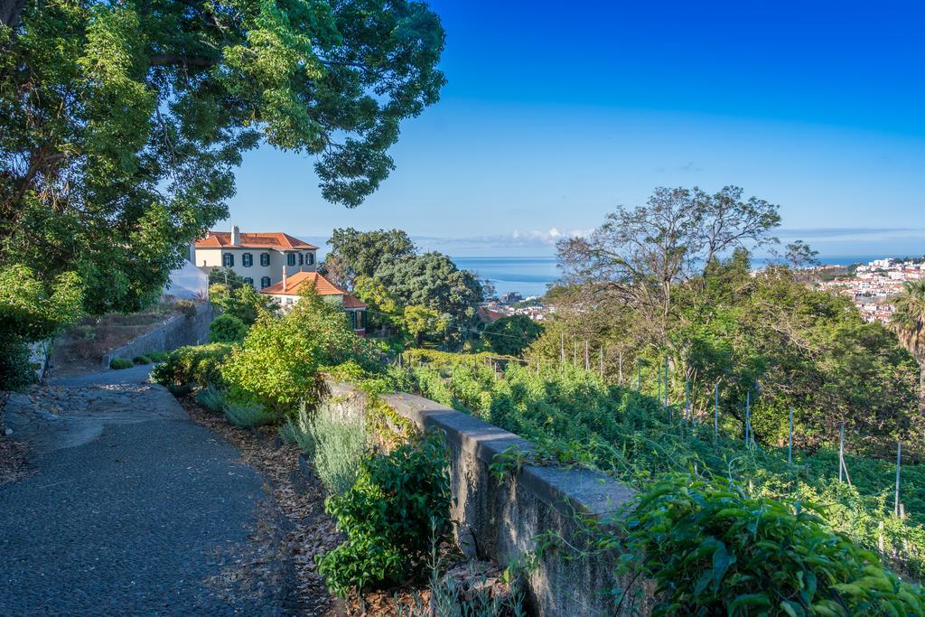 Quinta Malvas - Quinta De Santa Luzia