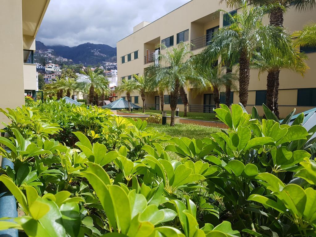 Apartment Anadia Funchal (Madeira)
