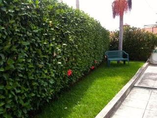 Apartamento Maria Funchal (Madeira)