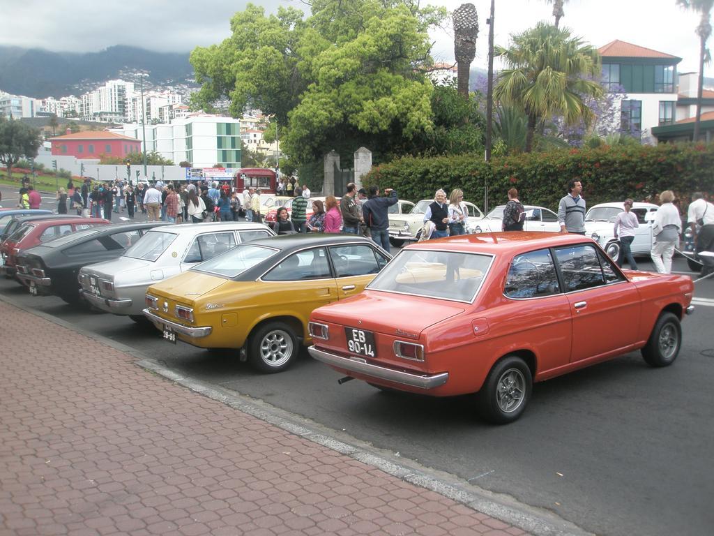 Bright * Funchal (Madeira)