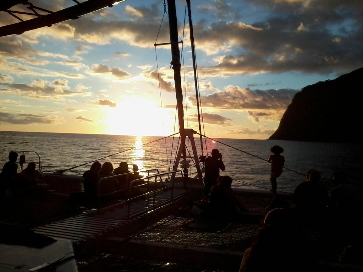Bright * Funchal (Madeira)