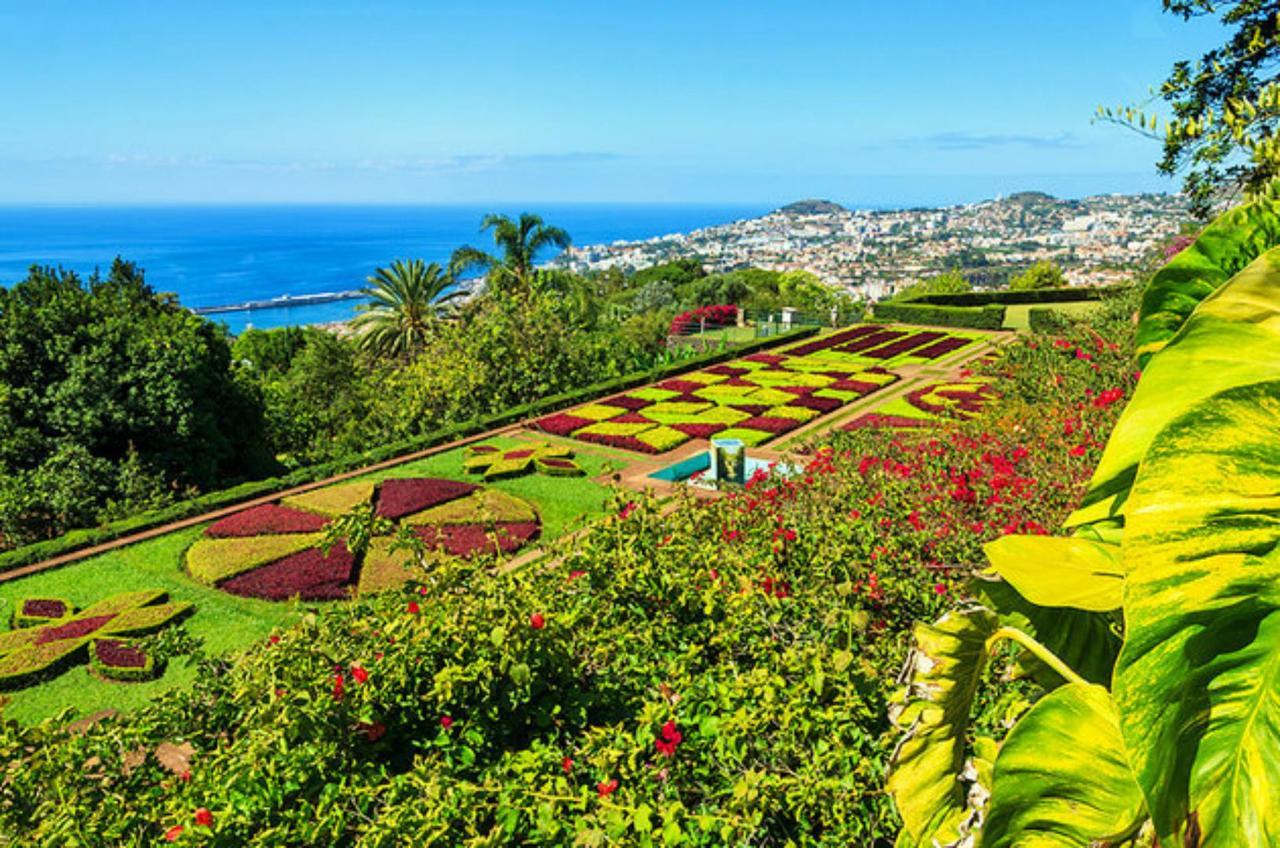 Funchal Apartment * Funchal (Madeira)
